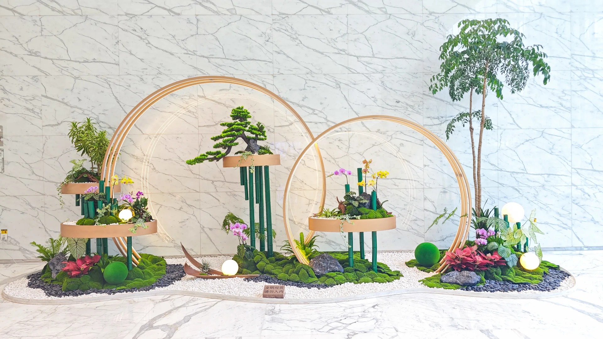 体验宁波杭州湾绿植出租设计，畅享绿色办公！